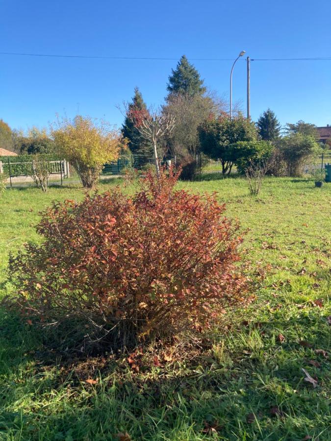 Au Petit Bonheur Villa Le Bugue Eksteriør bilde
