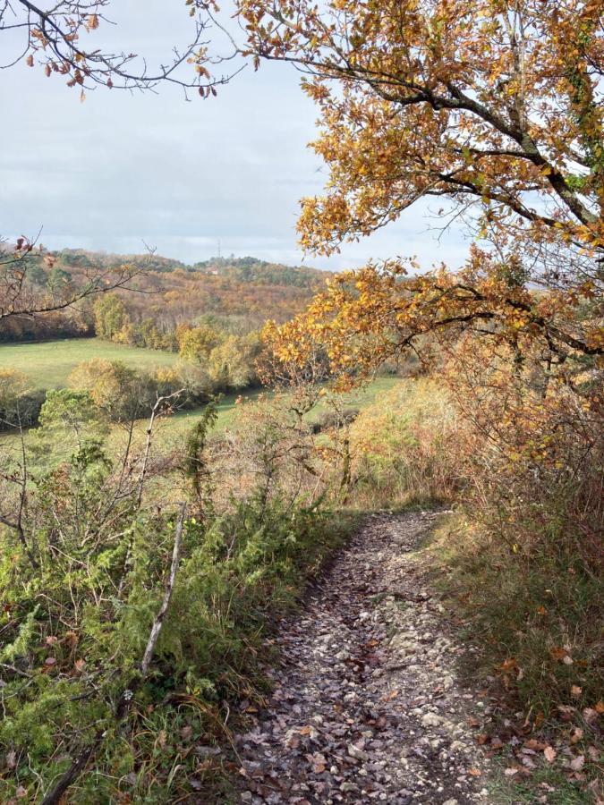 Au Petit Bonheur Villa Le Bugue Eksteriør bilde